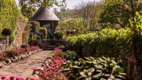 Garden Ballygally-Castle-Hotel-0137